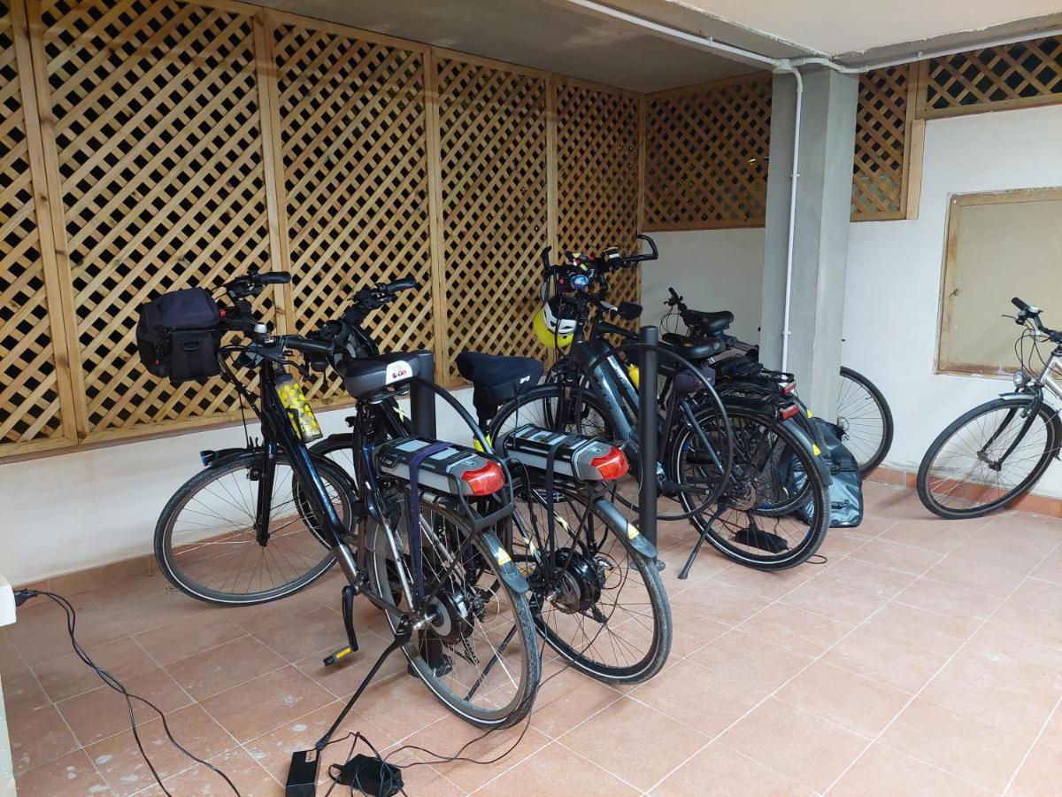 Anima Franca Bed And Breakfast Greve in Chianti Bagian luar foto